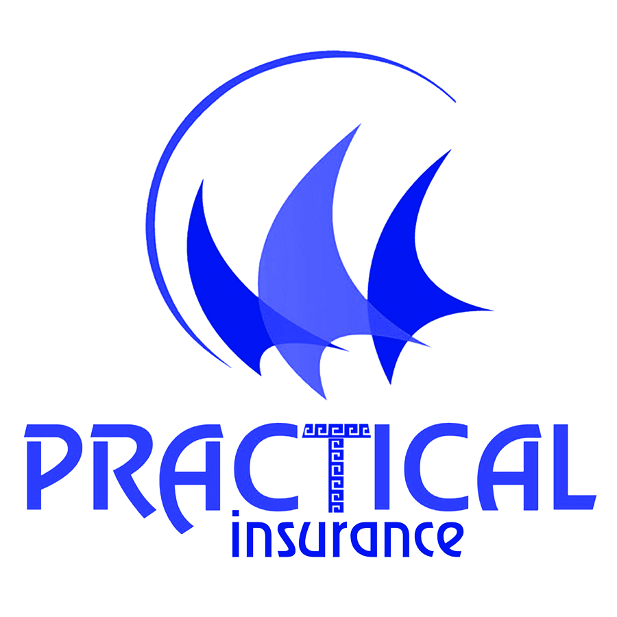 Practical n Logo