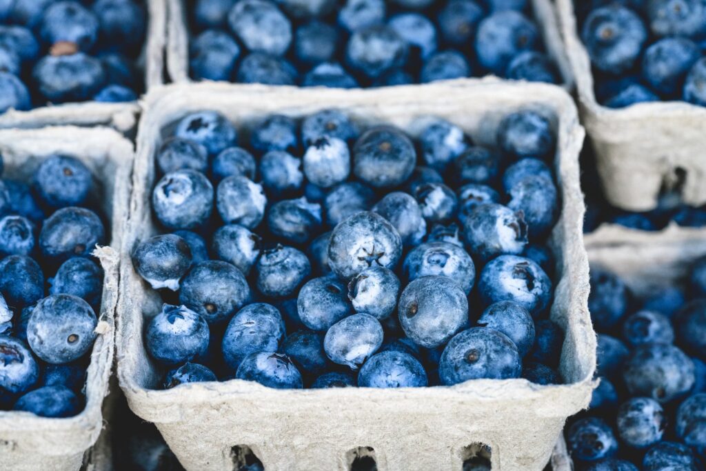 Blueberry Fruit 